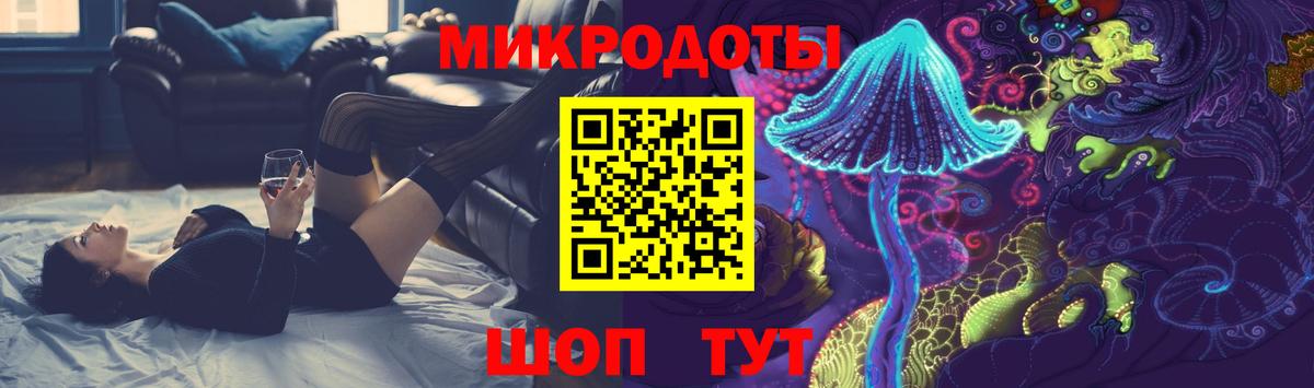 Галлюциногенные грибы Psilocybe Камень-на-Оби