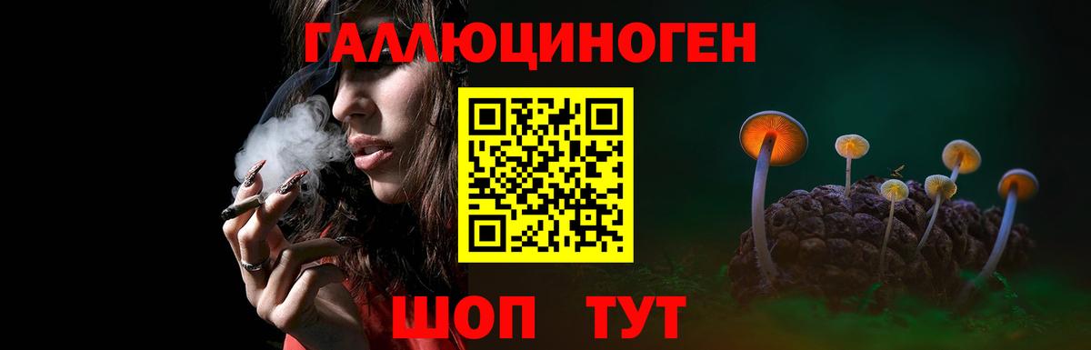 Псилоцибиновые грибы GOLDEN TEACHER  Псилоцибиновые грибы мицелий  Вход с VPN  Камень-на-Оби 